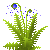 Visit my Marvel Fern in Flowergame!