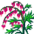 Visit my Bleeding Heart in Flowergame!