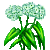 Visit my Bear’s Garlic in Flowergame!