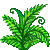 Visit my Male Fern in Flowergame!