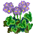 Visit my Geranium in Flowergame!