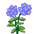 Visit my Phlox in Flowergame!