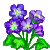 Visit my Liverleaf in Flowergame!