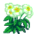 Visit my Christmas Rose in Flowergame!