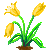 Visit my Tulip in Flowergame!